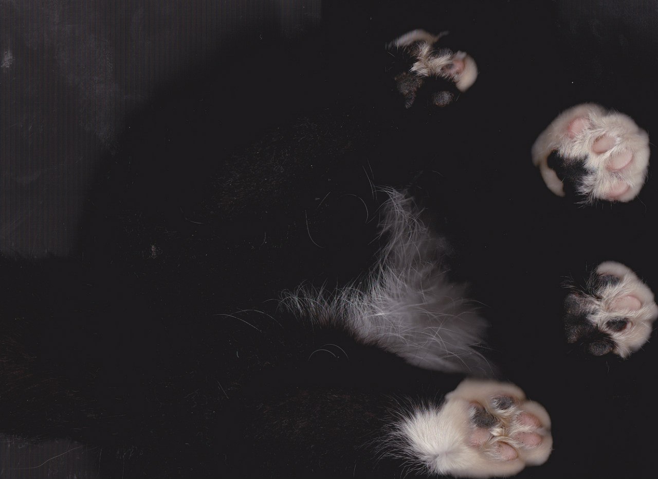 ) - 3