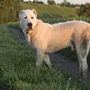 ���� ������, ������� - ��������� 26 ��� 2014 � ������ ������ ��������