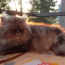 ���� �������, ��������� - ��������� 13 ��� 2014 � ������ �:)�