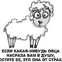 ���� ��-��, ������ - ��������� 9 ���� 2014 � ������ ������ ��������