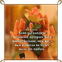 ���� ������, ������, 49 ��� - ��������� 6 ��� 2014 � ������ ������ ��������
