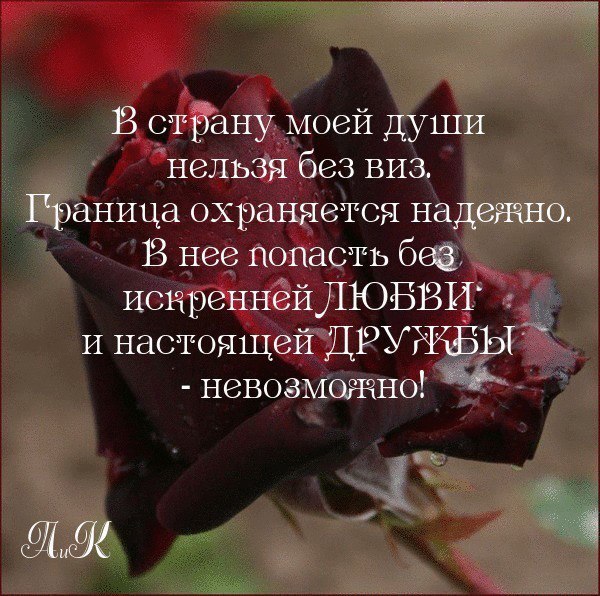 Roza - 26  2014  18:18