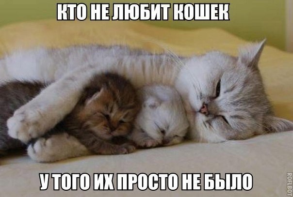 :3