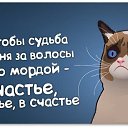 ���� �����, ������, 53 ���� - ��������� 17 ����� 2014 � ������ ������ ��������