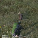 ���� ��������, ������, 35 ��� - ��������� 28 ���� 2014 � ������ ������ ��������