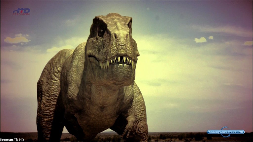  . (The Land of Dinosaurs)  2008 .,   .  ( )  ... - 2