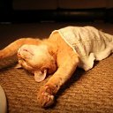 ���� �����, ��������, 56 ��� - ��������� 7 ������ 2014 � ������ ���� ����������