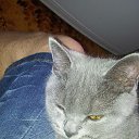 ���� �������, �����-��������� - ��������� 21 ���� 2014 � ������ ������ ��������