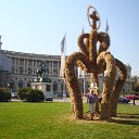  2011     