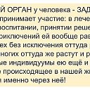 ���� ������, ������, 54 ���� - ��������� 4 ������ 2014 � ������ ���� ����������