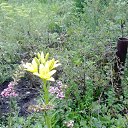 ���� �����, ����������� - ��������� 8 ������� 2014 � ������ ���� ����������