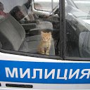���� ������, ����� - ��������� 22 ���� 2014 � ������ ������ ��������