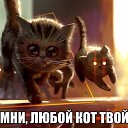 ���� ���, ���������, 23 ���� - ��������� 11 ������� 2014 � ������ ���� ����������