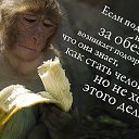 ���� ����� ����, ������-��-���� - ��������� 15 ������� 2014 � ������ ������ ��������