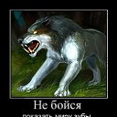 ���� �����, ������, 47 ��� - ��������� 24 ��� 2014 � ������ ���� ����������