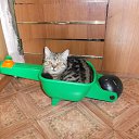 ���� ������, ������������ - ��������� 9 ������� 2014 � ������ ���� ����������