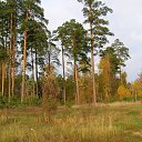 ���� �����, ������, 75 ��� - ��������� 14 ������� 2014 � ������ ���� ����������