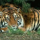 ���� �������, �����, 63 ���� - ��������� 3 �������� 2014 � ������ ���� ����������