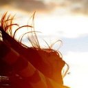 ���� ��������, ������, 44 ���� - ��������� 24 �������� 2014 � ������ ���� ����������