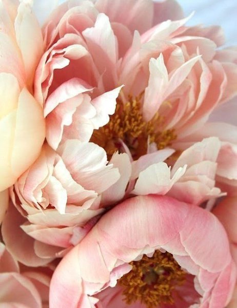 Не отвечайте злом на зло, иначе злу не будет конца. В ответ на обиду поцелуй врага своего, и ему ... - 5