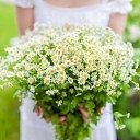 ���� �������, ���������, 46 ��� - ��������� 22 ������� 2014 � ������ ������ ��������