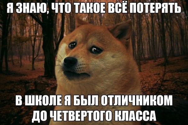    :D - 12  2014  15:25