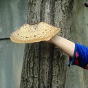  Stas, , 65  -  1  2014    