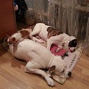 ���� �����, ������, 52 ���� - ��������� 30 ������ 2014 � ������ ���� ����������