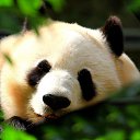 ���� ��������, ������ - ��������� 22 �������� 2014 � ������ ������ ��������