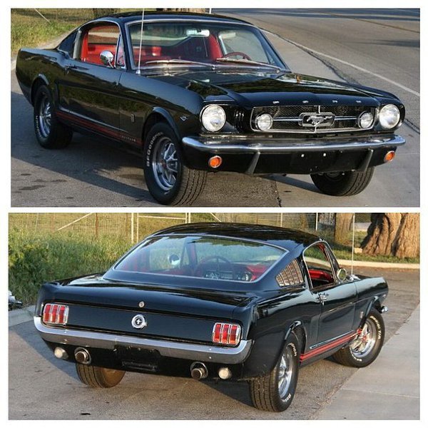 Mustang - 4