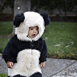 ���� ��������, �����-���������, 43 ���� - ��������� 23 �������� 2014