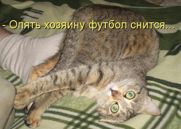       - 27  2014  18:30