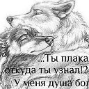  ,  -  27  2014    