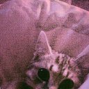 ���� ��������, �����, 35 ��� - ��������� 1 ������� 2014 � ������ ������ ��������