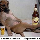 ���� ����������, ������, 49 ��� - ��������� 23 �������� 2014 � ������ ������ ��������