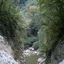  , , 39  -  31  2014    