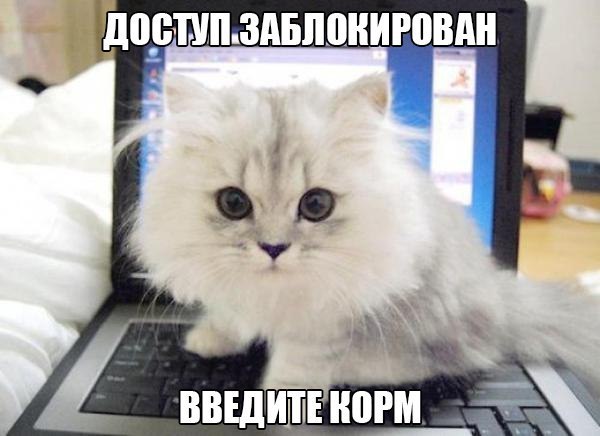  -  - 9  2014  22:40