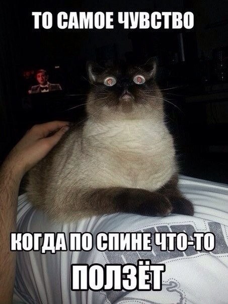    :D - 22  2014  09:34