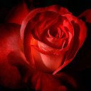  Sergei.,   -  22  2014    