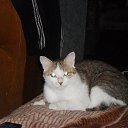 ���� ���������, ��������, 56 ��� - ��������� 25 ������� 2014