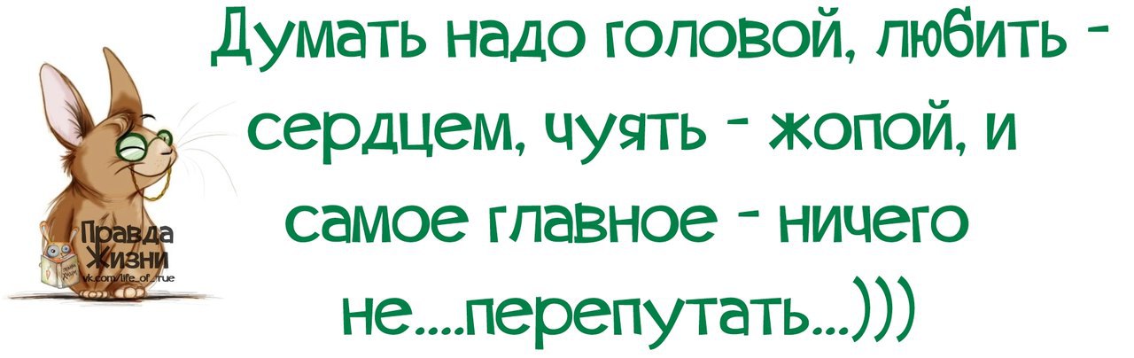 Выйдите из головы и войдите в сердце. О нем и думаю цитаты. Не задумываясь не чувствовал. Скоро умным запретят думать. Надо думать только о себе.