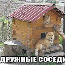 ���� ����, �����-��������� - ��������� 16 ������ 2014 � ������ ������ ��������