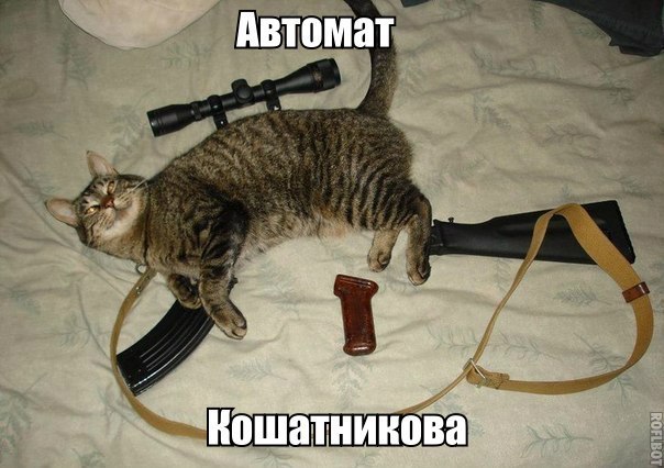  , - 14  2014  01:47