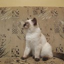 ���� ������, ������ ��������, 56 ��� - ��������� 10 ������� 2014