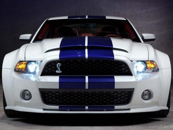 Shelby GT500  Galpin Auto Sports.