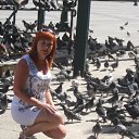      ,    ,  , ,       .  ,    .    