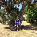 ���� ��������, ������, 65 ��� - ��������� 11 ������ 2014 � ������ ���� ����������