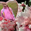 ���� �������, �����-���������, 54 ���� - ��������� 26 ������� 2014 � ������ ����� ����