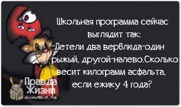...      -  ()