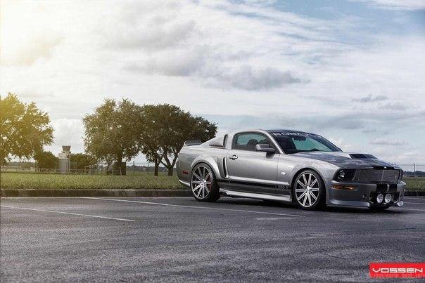 Ford Ronaele Mustang 550R - 6